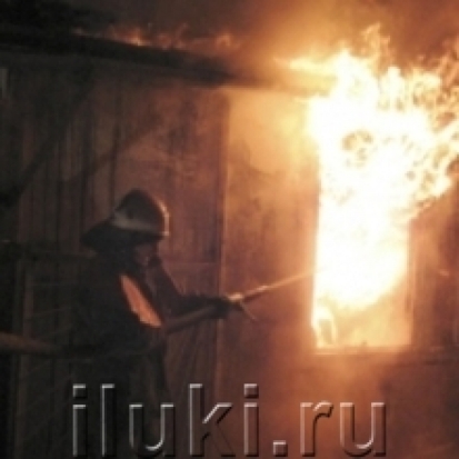 5 тонн овощей сгорели в овощехранилище в Пушкиногорском районе - 2017-01-06 21:18:00 - 1