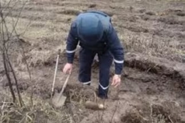 Великолукские саперы дважды выезжали в Невельский район на разминирование взрывоопасных предметов - 2017-05-06 19:38:00 - 1