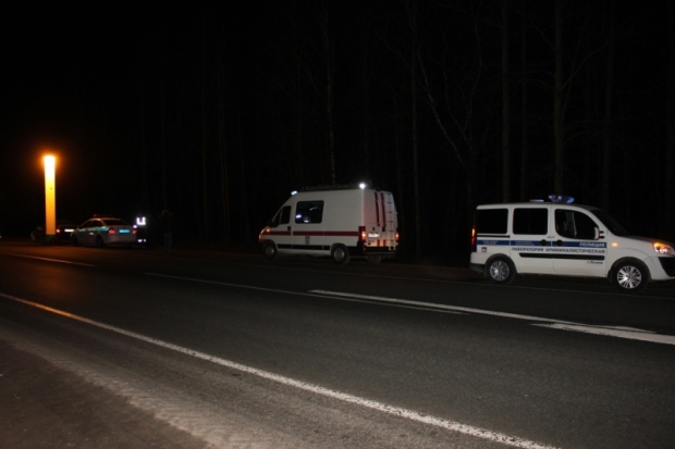 В Палкинском районе перевернулся и загорелся автомобиль, два человека погибли - 2016-12-20 08:37:00 - 1