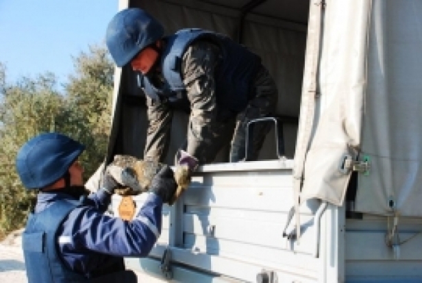 В Невельском районе обезвредили взрывоопасный предмет - 2016-10-19 14:42:00 - 1