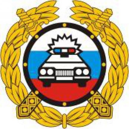 В Великих Луках пройдут массовые проверки ГИБДД - 2017-03-03 10:47:00 - 1