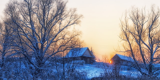 10 января - Домочадцев день, или Рождественский мясоед - 2021-01-10 09:00:00 - 1