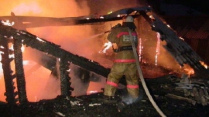 В Псковском районе огнем повреждена баня - 2016-09-25 08:22:00 - 1