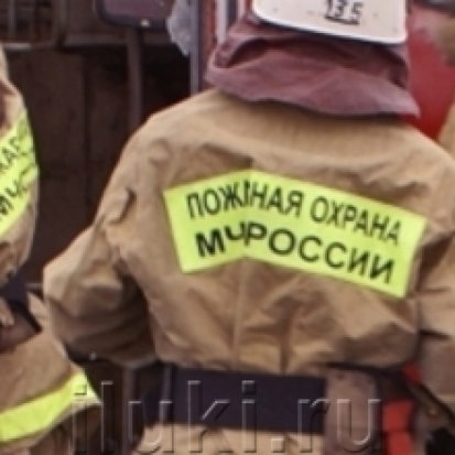 В Пскове из-за поджога горела квартира, совладелицей которой является сотрудница областной Администрации - 2017-07-29 21:04:00 - 1