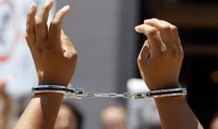 В Санкт-Петербурге задержан находящийся в розыске мужчина, заочно обвиняемый в стрельбе на Крестовском острове - 2017-01-18 14:23:00 - 1