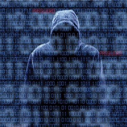 Два жителя Псковской области попались «на удочку» интернет-мошенникам - 2017-07-20 20:06:00 - 1