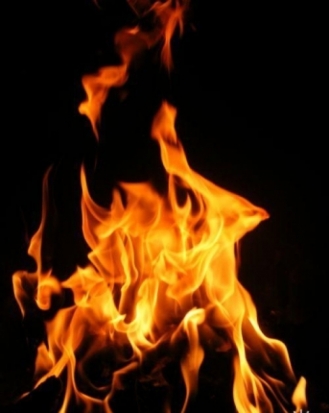 В Псковском районе подожгли дачу - 2017-01-12 09:03:00 - 1