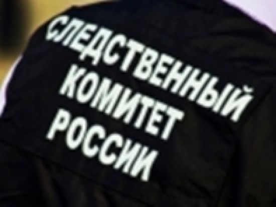 В Санкт-Петербурге задержан водитель, напавший на 10-летнего мальчика - 2017-04-11 14:26:00 - 1