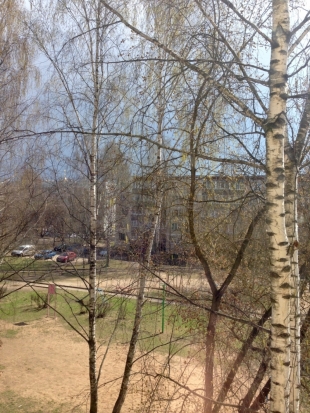 Штормовое предупреждение в Псковской области, похоже, начинает сбываться - 2018-04-21 13:32:00 - 1