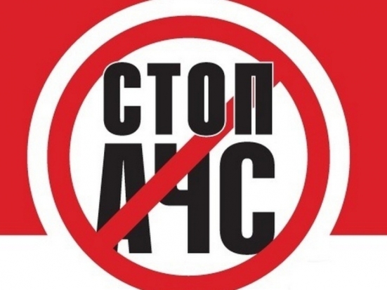 Новый случай вируса АЧС выявлен в Псковской области при проверке привозного шпика и грудинки на великолукском рынке - 2017-10-03 17:26:00 - 1