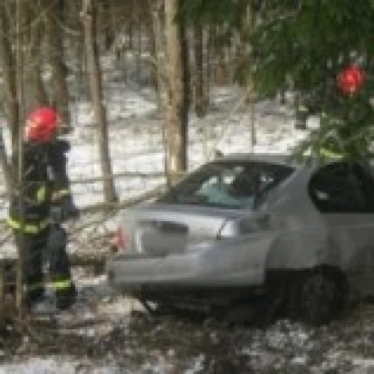 В деревне Губино Пушкиногорского района легковое авто попало в ДТП - 2016-12-24 13:41:00 - 1