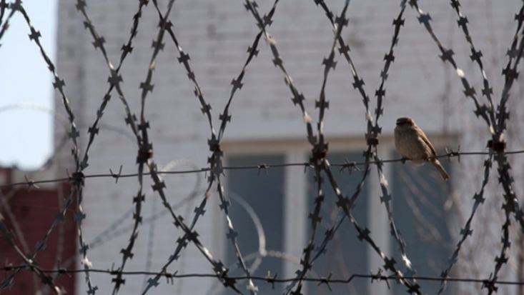 Петербургский неонацист Воеводин забил насмерть сокамерника в Заполярье - 2016-09-24 20:24:00 - 1