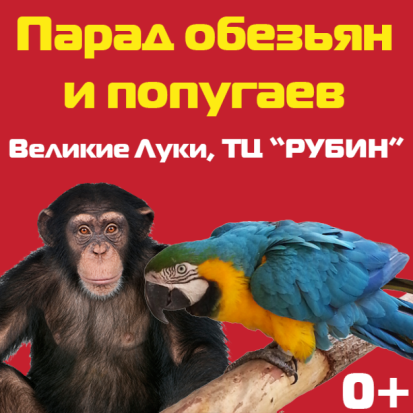 Великолучан приглашают на выставку экзотических животных «Парад обезьян и попугаев» - 2016-12-05 12:21:00 - 1