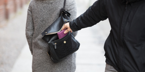 В Пскове полицейские по «горячим следам» раскрыли грабеж - 2021-01-13 13:43:00 - 1