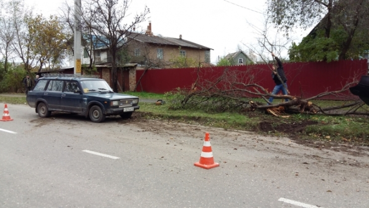 Три автомобиля столкнулись в Великолукском районе - 2016-11-19 10:15:00 - 1
