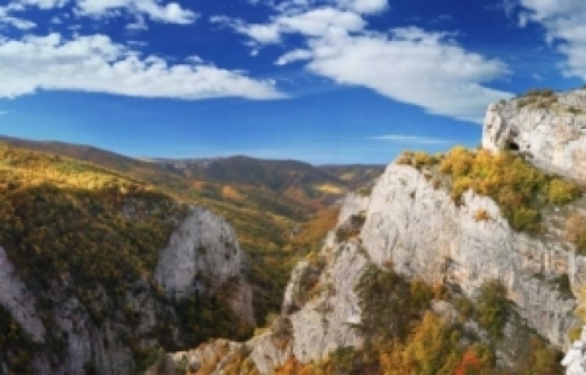 В Крыму спасли парапланериста, который зацепившись стропами, повис на высоте 20 метров - 2017-10-26 08:48:00 - 1