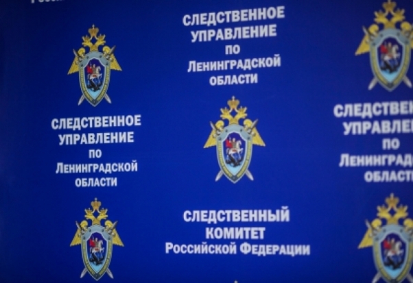 В здании заброшенного общежития в Ленинградской области обнаружено тело новорожденного младенца - 2017-07-07 09:38:00 - 1