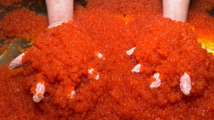 Похитителя икры на 3 млн рублей ищут в Петербурге - 2016-12-21 20:11:00 - 1