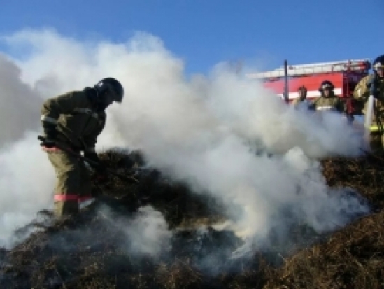 Два пожарных расчета выезжали на возгорание сена в Великолукском районе - 2017-07-13 19:34:00 - 1