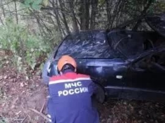 Два легковых авто столкнулись на автодороге Великие Луки – Усвяты - 2017-07-21 18:10:00 - 1