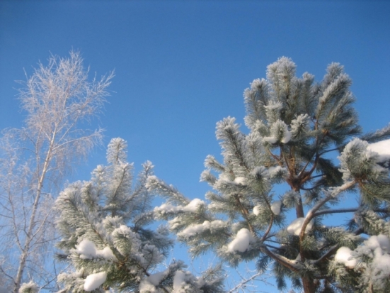 Кондуктор выгнала безбилетного первоклассника из автобуса на 20-градусный мороз - 2016-12-16 20:14:00 - 1