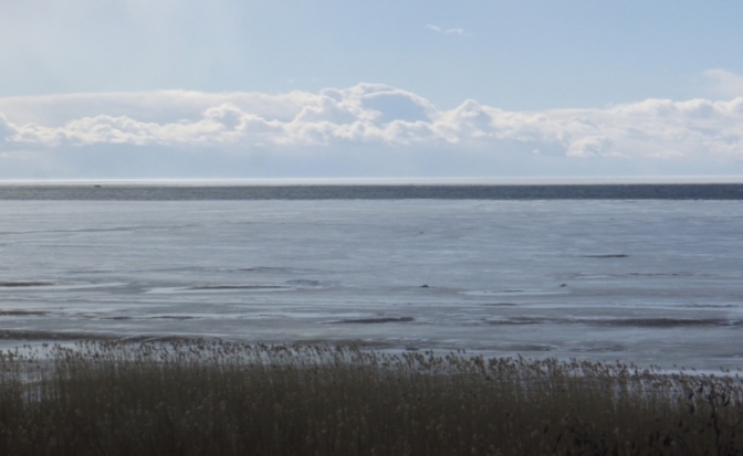 Для зимней рыбалки рановато: еще два человека провалились под лед вчера, на озерах в Новосокольническом и Великолукском районах - 2016-11-13 11:18:00 - 1