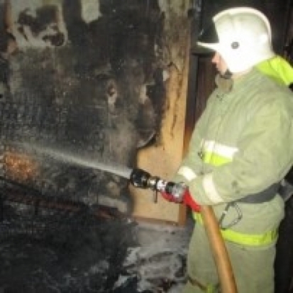 Два пожарных расчета выезжали на возгорание в деревню Слопыгино Палкинского района - 2016-12-28 06:24:00 - 1