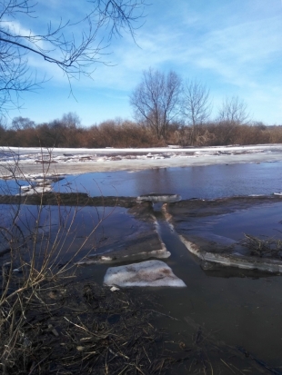 40 добровольцев приняли участие в поисках тела девочки, утонувшей в реке Ловать под Великими Луками (ФОТО) - 2018-04-08 14:37:00 - 1