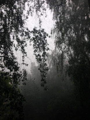 МЧС предупреждает об опасном ухудшении погоды в Псковской области - 2018-05-18 12:03:00 - 1