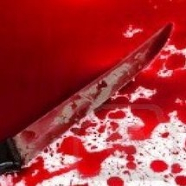 В Пскове перед судом предстанет женщина, которая нанесла 12 ножевых ранений в спину оппоненту своего друга детства - 2017-05-10 18:48:00 - 1