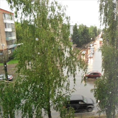До +13°С ожидается 8 сентября в Великих Луках - 2017-09-07 22:02:00 - 1