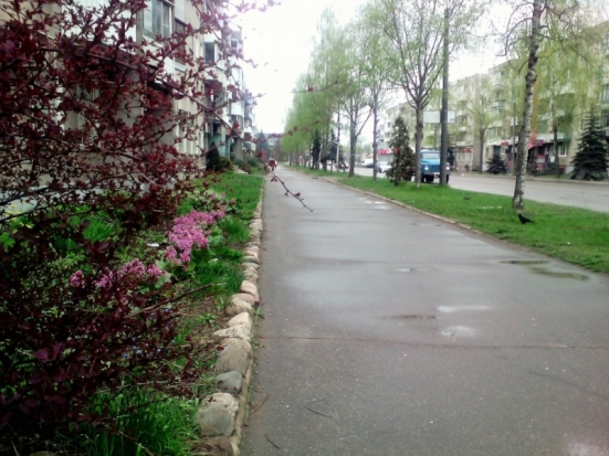 В воскресенье в Великих Луках ожидается до +18°С - 2018-05-05 22:02:00 - 1