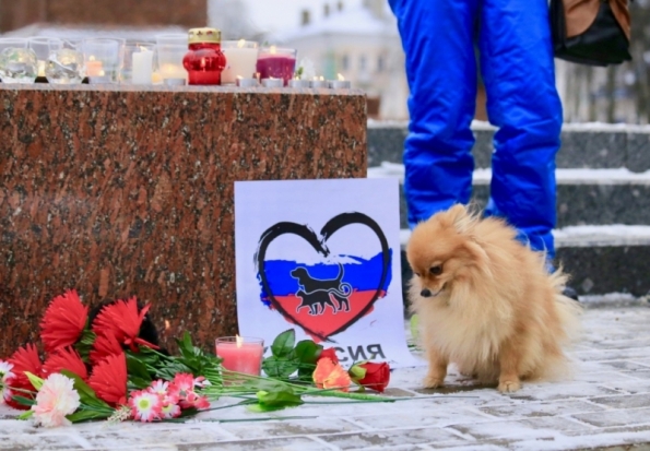 Великие Луки против жестокого обращения с животными (ФОТО) - 2016-11-07 13:42:00 - 1