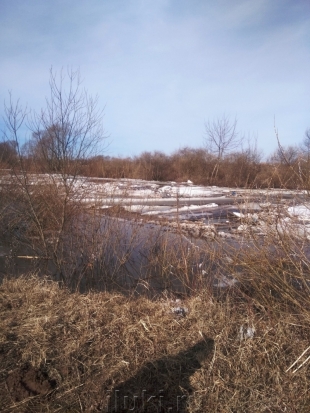 Объявляется второй сбор волонтеров для участия в поисках тела девочки, утонувшей в реке Ловать в Великолукском районе - 2018-04-09 15:43:00 - 1