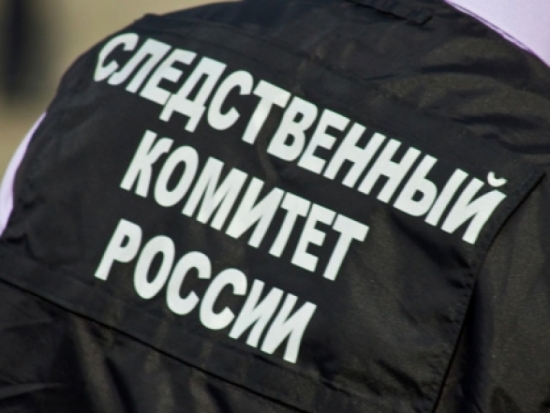 Мужчина пытался похитить грудного ребенка в центре Москвы - 2017-05-24 14:06:00 - 1