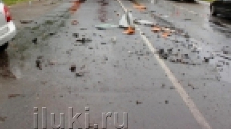 По факту аварии в Ленинградской области, в которой погибли дети 7 и 8 лет, возбуждено уголовное дело - 2016-10-11 13:07:00 - 1