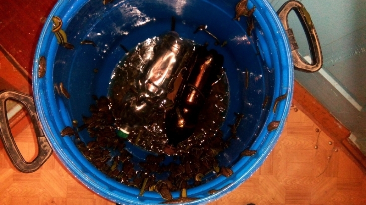 Рецидивисты украли у ставропольского коммерсанта 40 тысяч пиявок на миллион рублей (ФОТО) - 2016-12-28 22:02:00 - 1