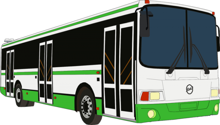 Жители Пскова и Великих Лук смогут бесплатно доехать до 52-го Пушкинского праздника поэзии - 2018-06-01 13:43:00 - 1