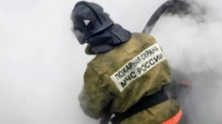 В деревне Насва Новосокольнического района огнем повреждена надворная постройка - 2017-07-12 06:13:00 - 1