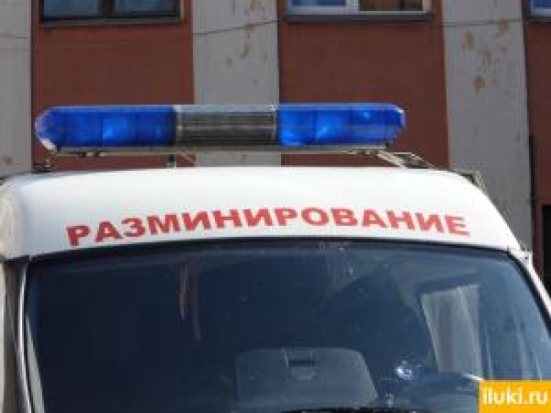 В Великих Луках обезвредили взрывоопасный предмет - 2017-09-21 16:36:00 - 1