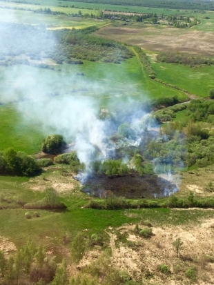 МЧС сообщает о запрете выезда в леса Псковской области - 2018-05-08 19:15:00 - 1