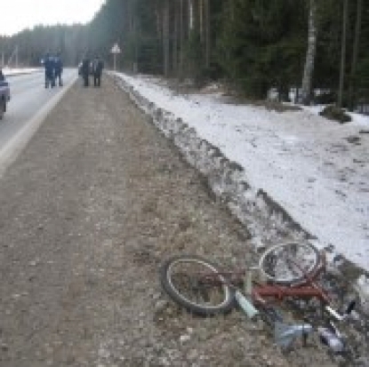 Велосипедиста на 412-м километре трассы Санкт-Петербург – Невель сбил грузовик - 2016-12-11 20:56:00 - 1