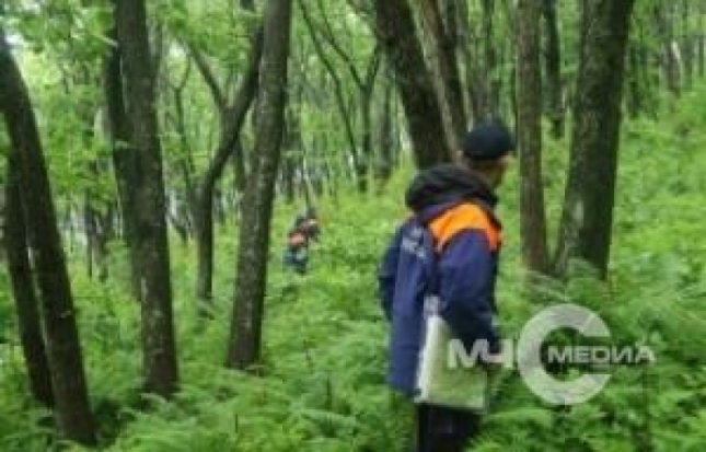 В Приморском крае продолжают искать пропавшего в лесу мужчину, который ушел за грибами 24 мая - 2017-06-01 10:53:00 - 1