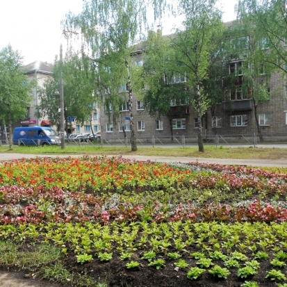 1 июля в Великих Луках ожидается до +13°С - 2018-06-30 22:02:00 - 1