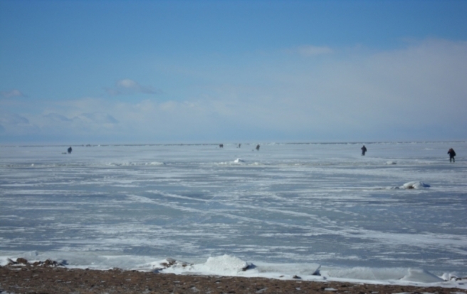 В Новоржевском районе двое мужчин на озере провалились под лед, один из них погиб - 2016-11-12 12:47:00 - 1
