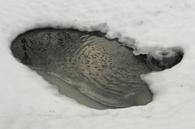 В Красногородском районе из полыньи достали тело мужчины - 2017-01-10 09:57:00 - 1