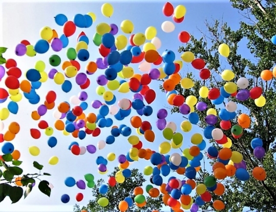 В школах Великих Лук прозвенел последний звонок - 2018-05-24 21:15:00 - 1