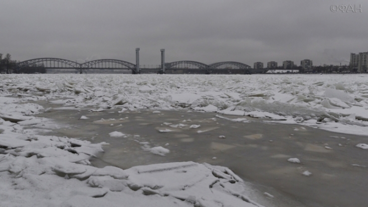 Петербуржец провалился под лед, спасая примерзшую утку - 2016-11-30 19:49:00 - 1