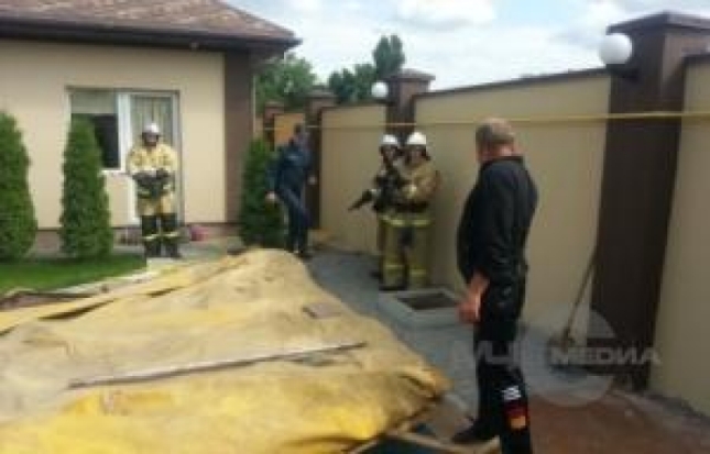 В крымском поселке Белоглинка сотрудники МЧС спасли редкую краснокнижную рептилию - 2017-06-13 08:43:00 - 1