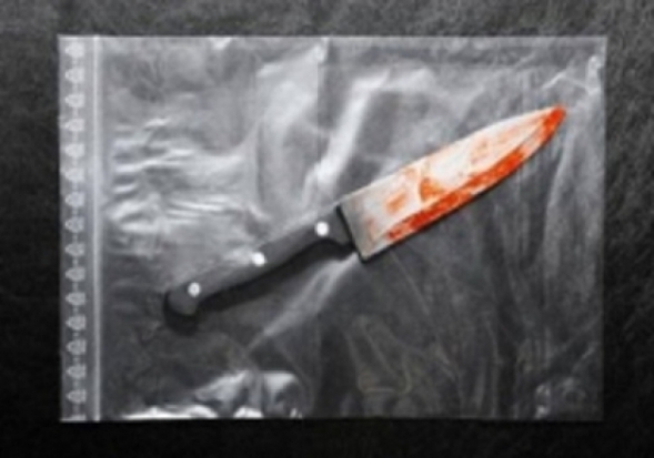 Жительница Санкт-Петербурга зарезала своего сожителя и попросила бомжей спрятать тело - 2016-12-08 08:55:00 - 1